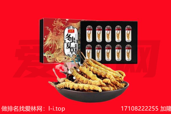 洛阳偃师市回收虫草.jpg